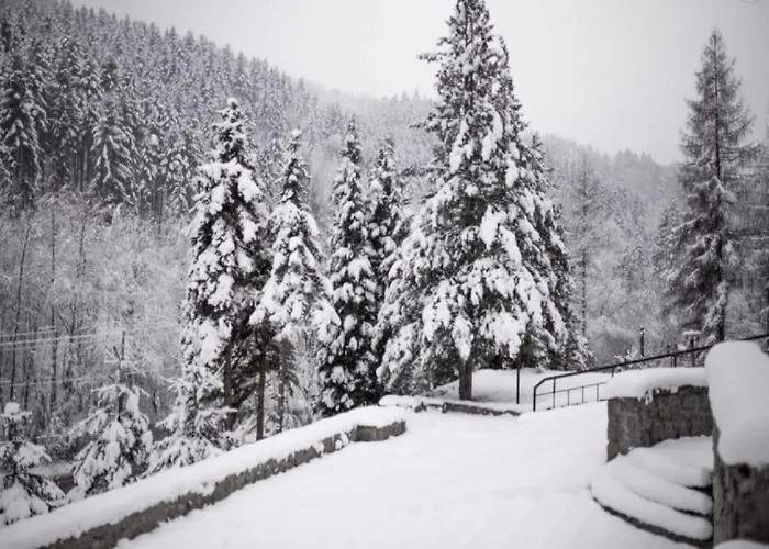 Hotel***Nat Piwniczna Zdroj