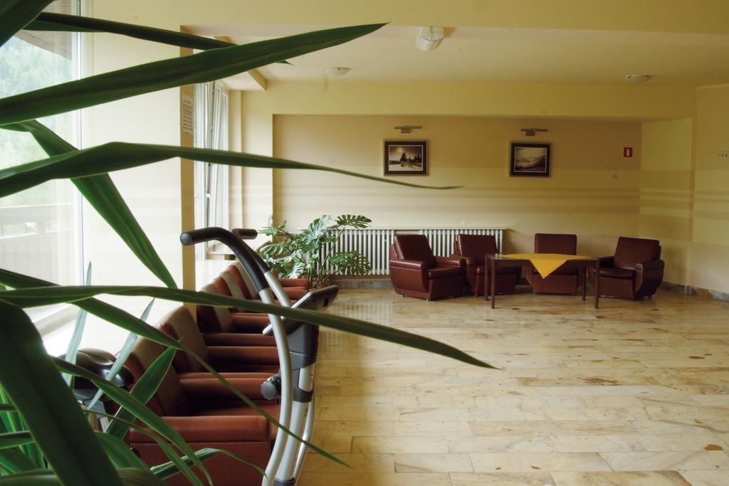 Hotel Hotel***nat Zdroj Piwniczna-Zdroj